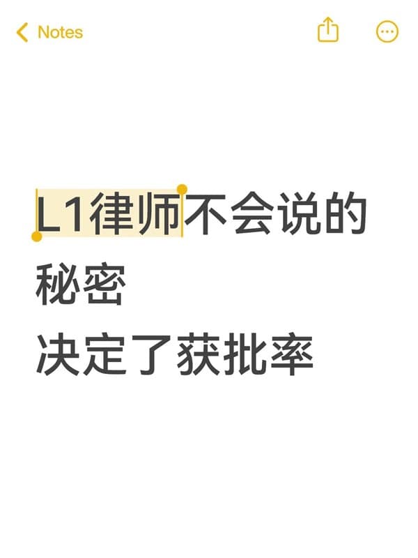 7天遇到3个L1签证RFE,都是因为它 7天遇到3个L1签证RFE,都是因为它