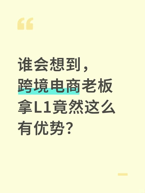 跨境电商，L1签证申请的天选之人