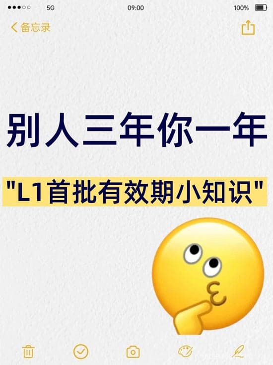别人三年你一年!还在问为什么?L1签证首批有效期小知识 别人三年你一年!还在问为什么?L1签证首批有效期小知识