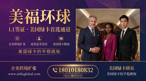 跨境电商平台店铺后台数据 L1申请材料运用 跨境电商平台店铺后台数据 L1申请材料运用